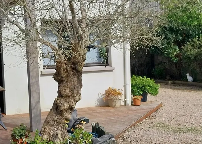 Un Ptit Coin De Paradis Chez Jf Et Daisy A Plouescat